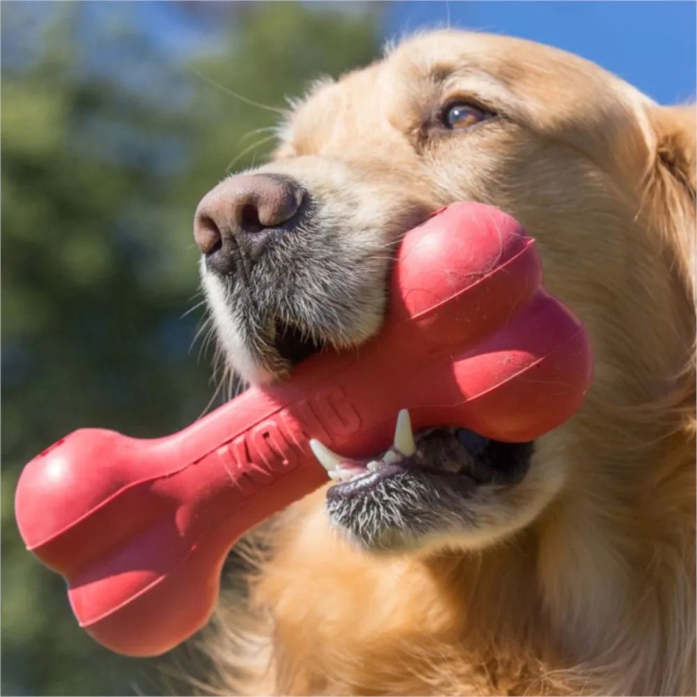 KONG - Goodie Bone - Treat Dispensing Dog Toy Bone