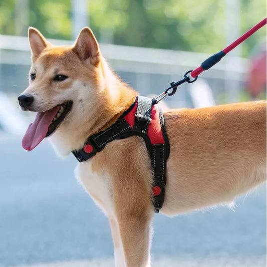 Adjustable Reflective Harness