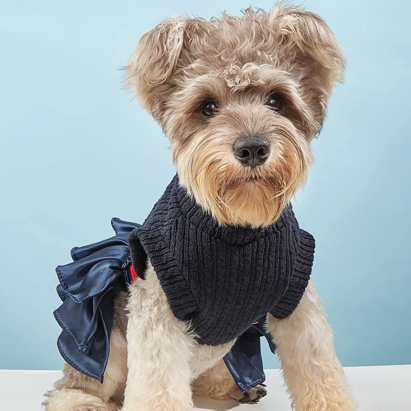 Turtleneck Knitted Sweater and Skirt