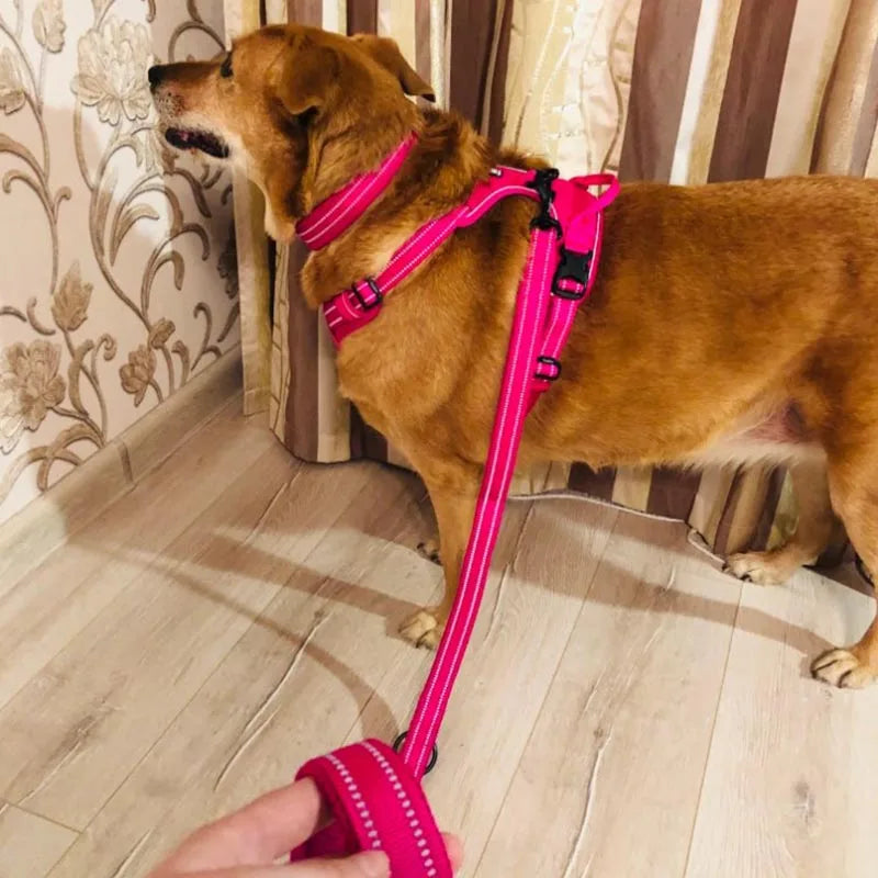 Reflective Safety Leash