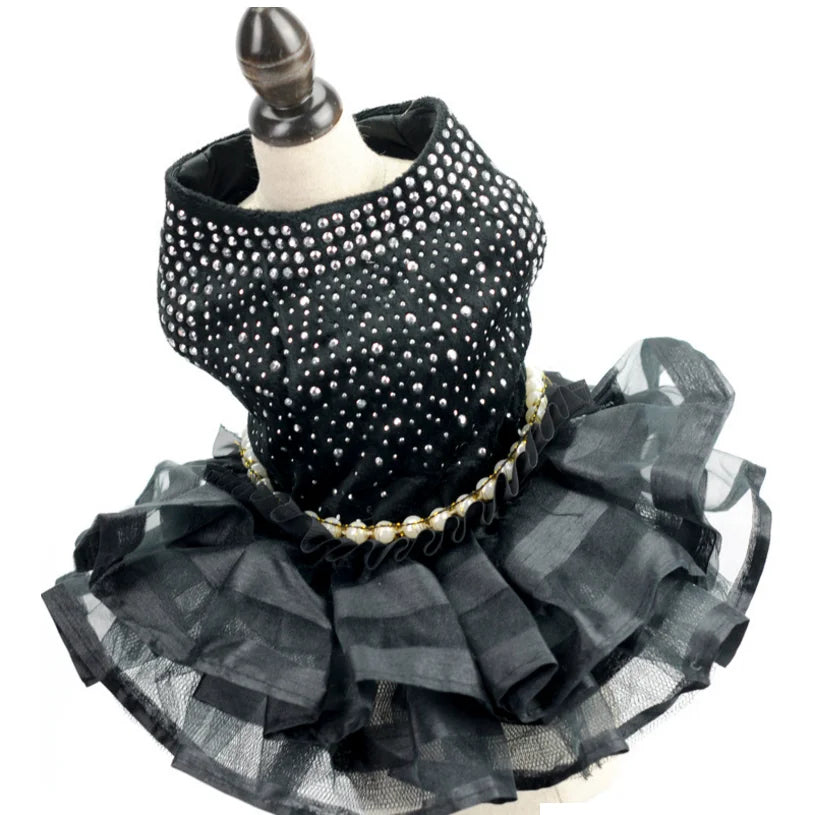 Sexy Black Tulle Dog Dress