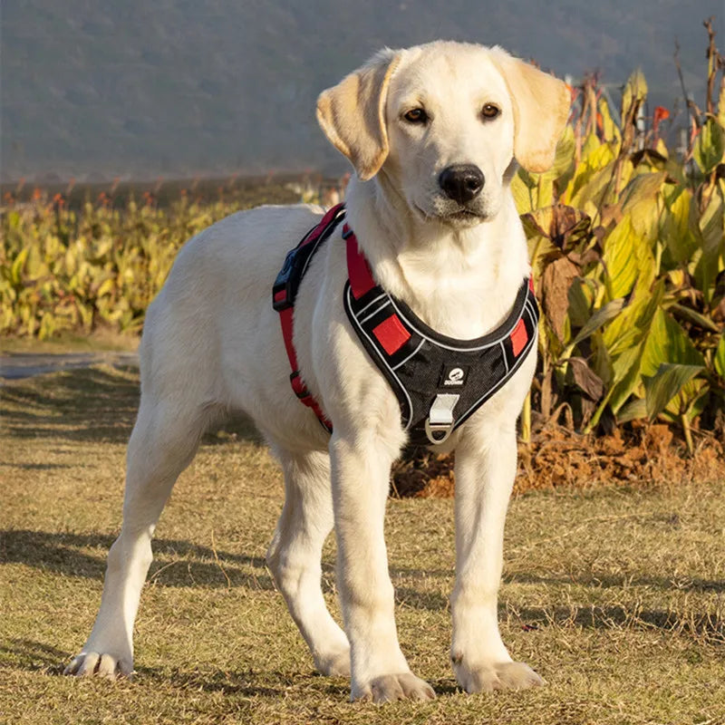 Reflective Adjustable Dog Harness