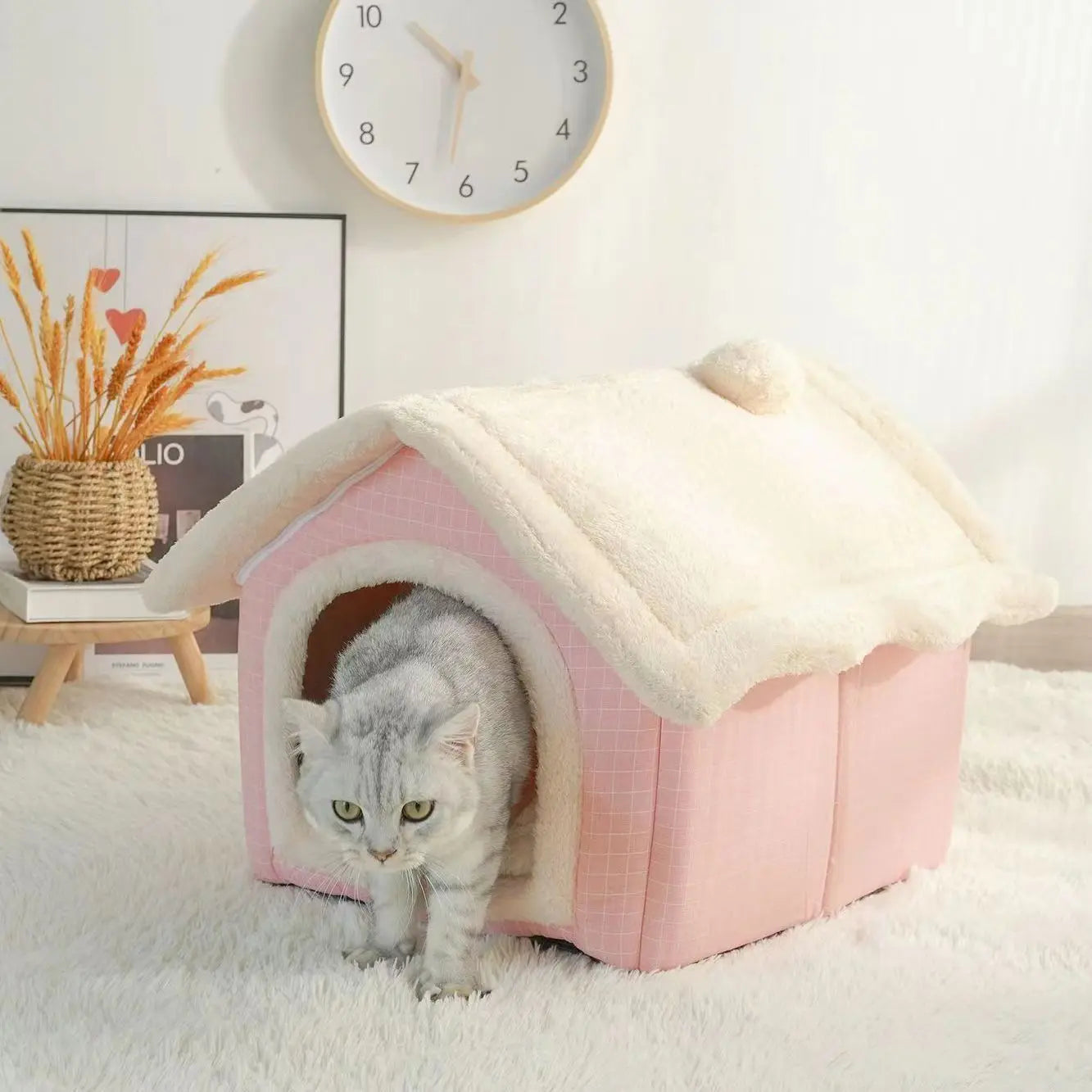 Pet House with Removable Cushion