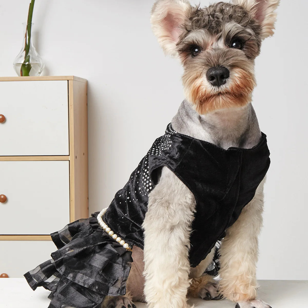 Sexy Black Tulle Dog Dress