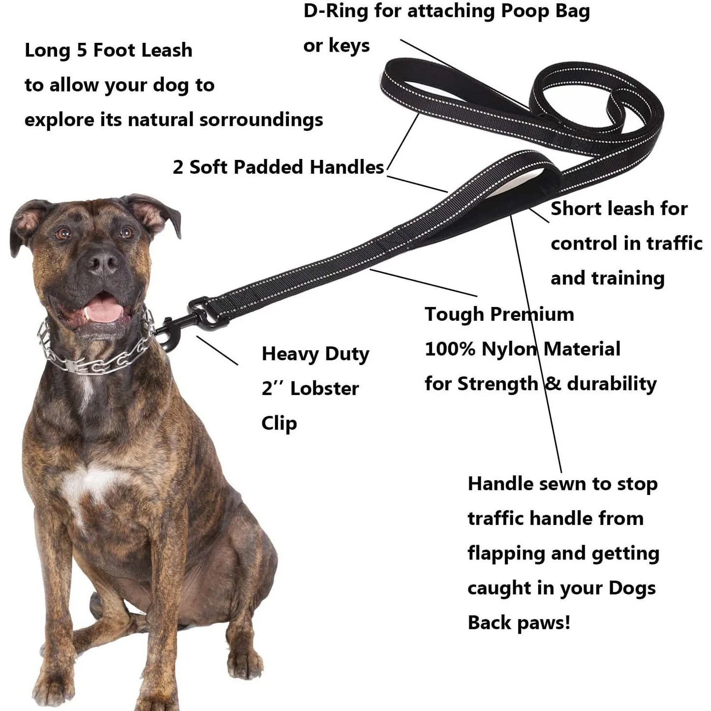 Heavy Duty Double Handle Nylon Leash