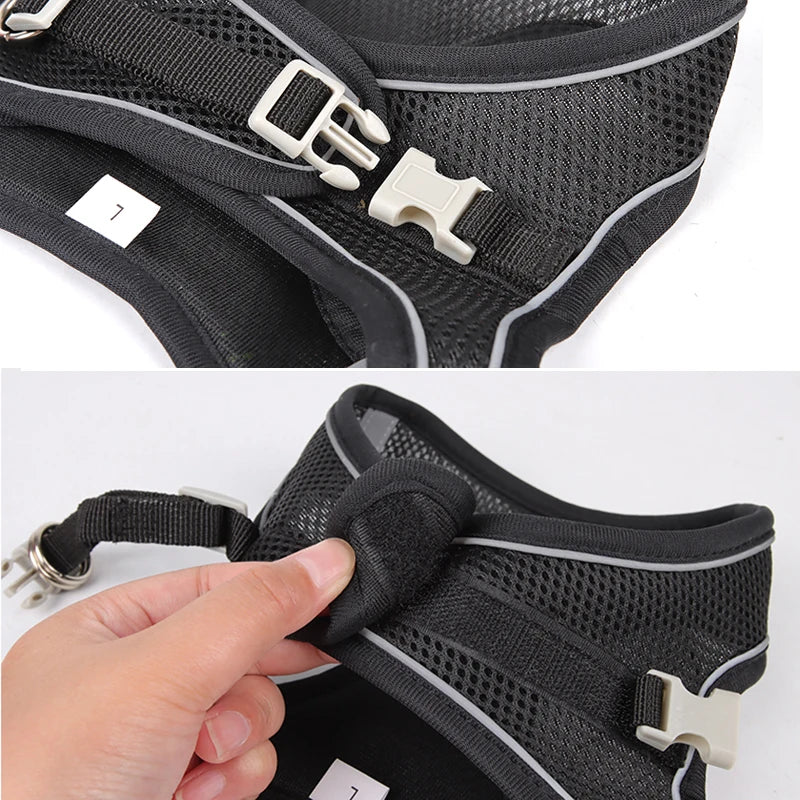 Adjustable Small Harness Leash Set