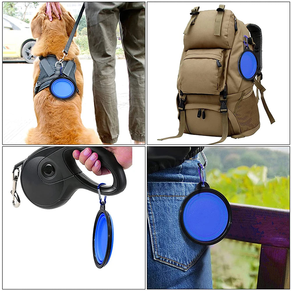 Collapsible Travel Pet Bowl