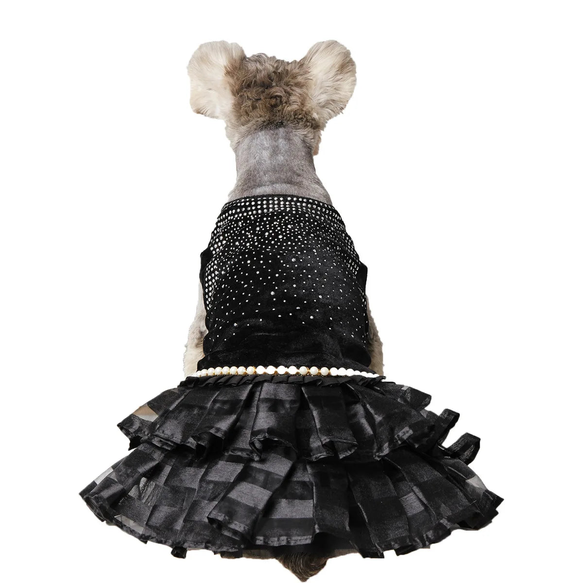 Sexy Black Tulle Dog Dress