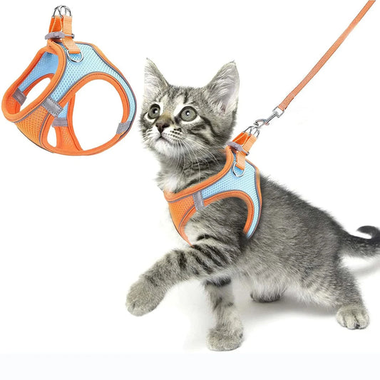 Escape Proof Reflective Harness