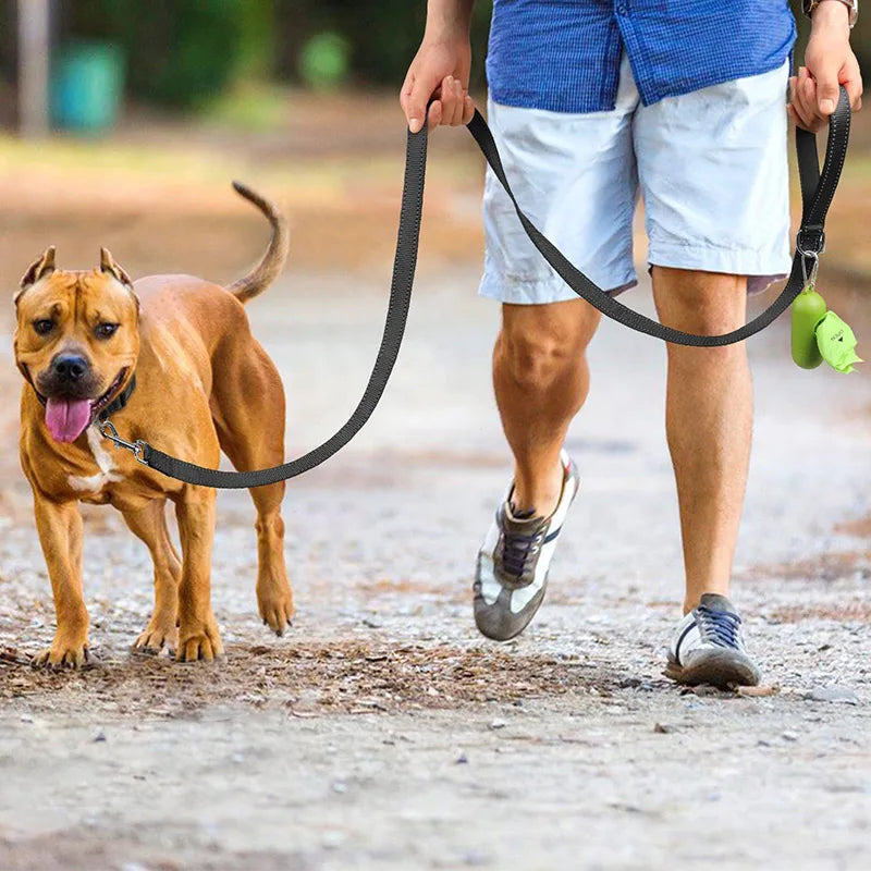 Dog Walking Training Leash with Reflection